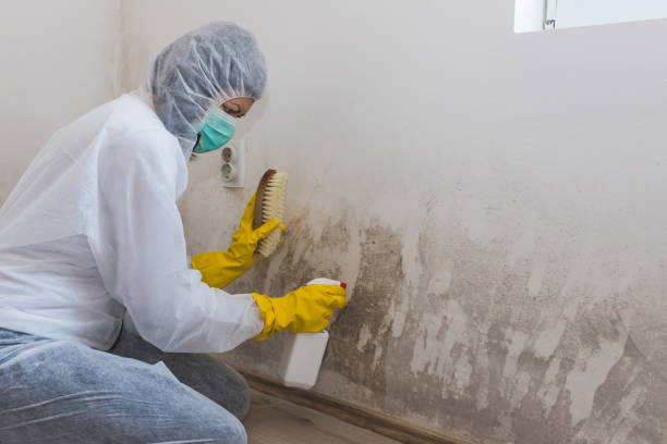 Best Mold Testing  in Coquille, OR
