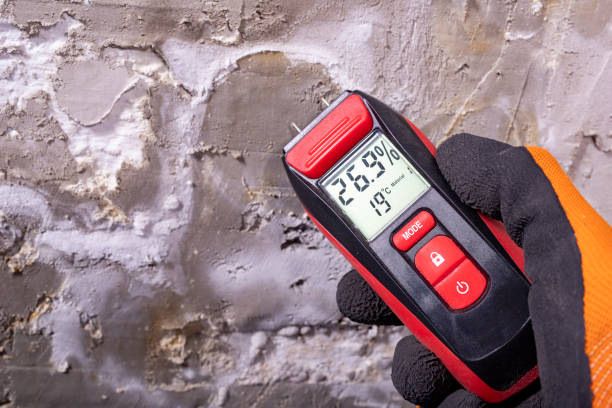 Best Same-Day Mold Removal  in Coquille, OR