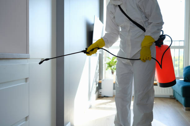 Best Local Mold Removal Service  in Coquille, OR