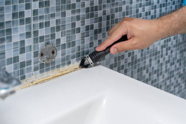 Best Crawl Space Mold Removal  in Coquille, OR